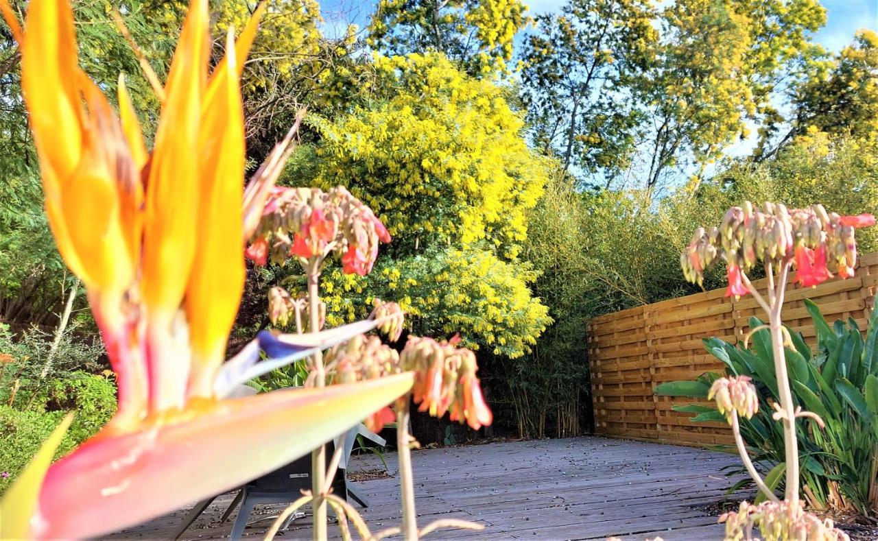 Hotel Les Jardins De Bormes, Sauna & Jacuzzi Bagian luar foto